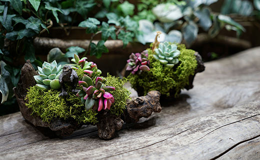 東急不動産株式会社